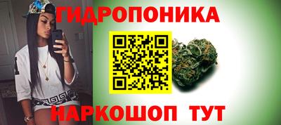ГАЛЛЮЦИНОГЕННЫЕ ГРИБЫ Краснодар