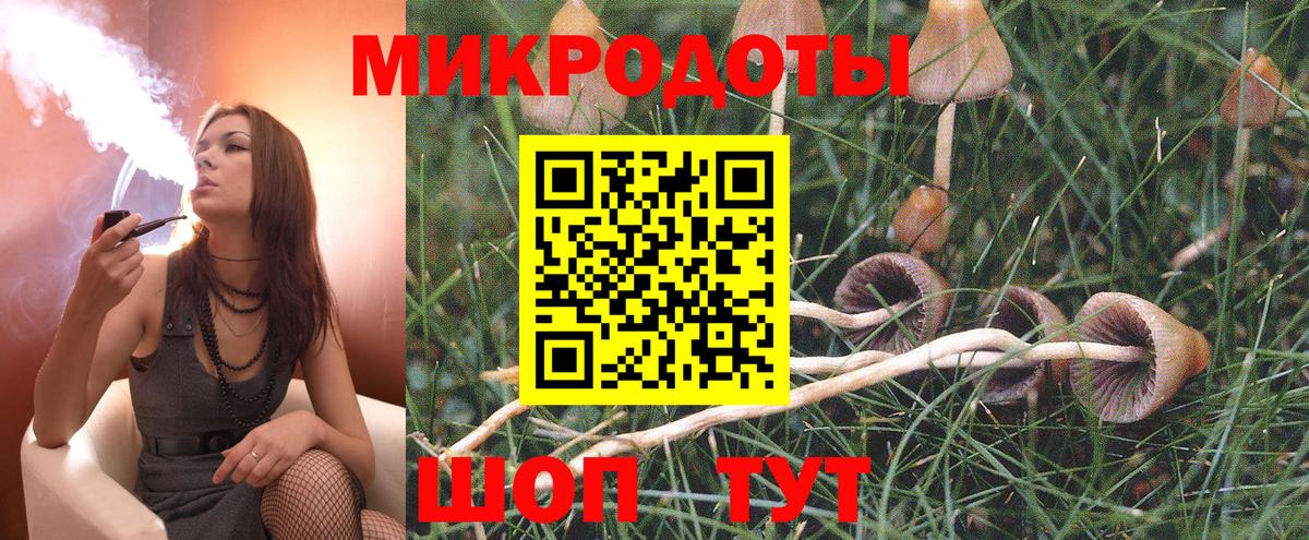 Псилоцибиновые грибы Magic Shrooms  как найти закладки  Каменск-Уральский  Вход с VPN 